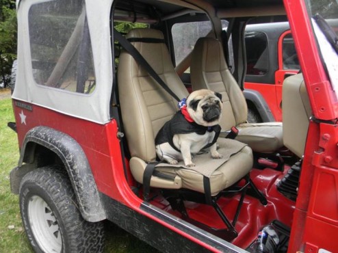 Photo courtesy of Club Jeep, Club-Jeep.cz